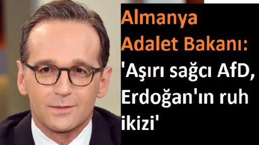 Almanya Adalet Bakanı: 'Aşırı sağcı AfD, Erdoğan'ın ruh ikizi'