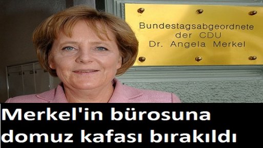 Merkel'in seçim bürosuna domuz kafası bırakıldı