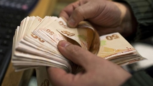 Türk Lirası Euro karşısında yüzde 11 oranında değer kaybetti