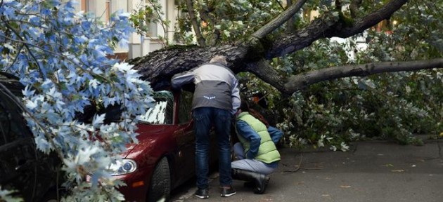 Almanya'da şiddetli fırtına: 7 ölü