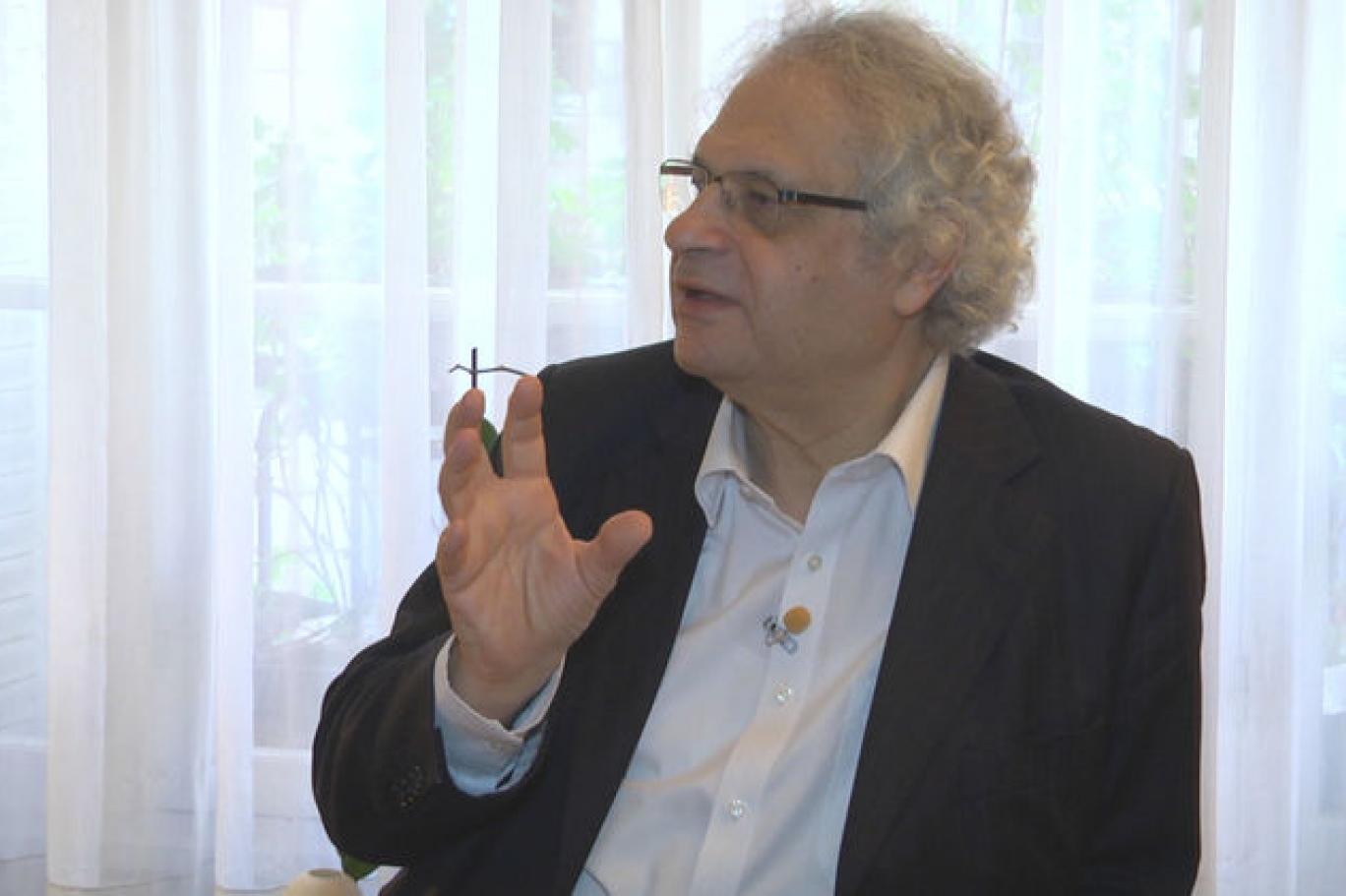 Amin Maalouf: ‘Model ülke Türkiye’ durumu Arap Baharı'yla birlikte bitti