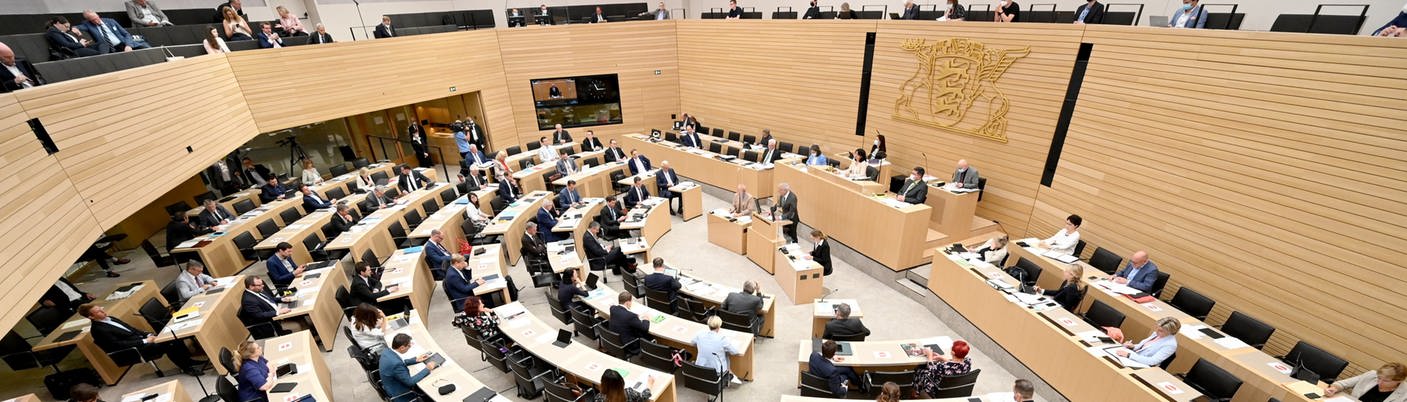 Almanya'da AfD'li aday Anayasa Mahkemesi'ne seçildi: Yeşiller çekimser kaldı