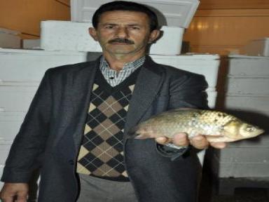 Kota Ve Savaş Gölyazılı Balıkçıları Vurdu