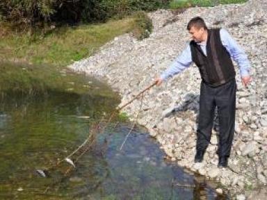 Ceyhan Nehrinde Parçalanmış Balıklar Karaya Vurdu