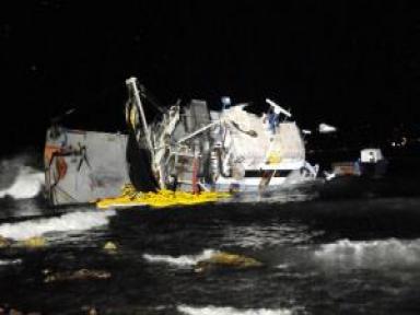 Tekne Yan Yattı, Yaklaşık 15 Ton Hamsi Karaya Vurdu
