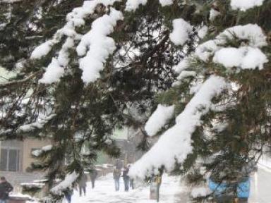 Doğuda 372 Köy Yolu Kardan Ulaşıma Kapandı