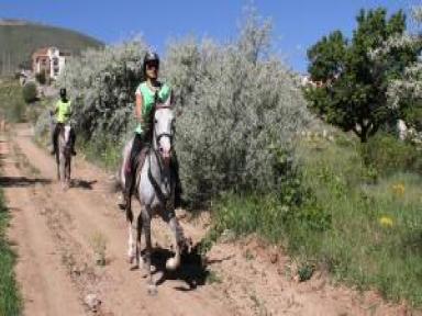 Kayseri'de 'atlı Dayanıklılık Kupası' Yapıldı