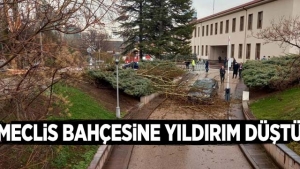 Ankara'da Meclis’in bahçesine yıldırım düştü